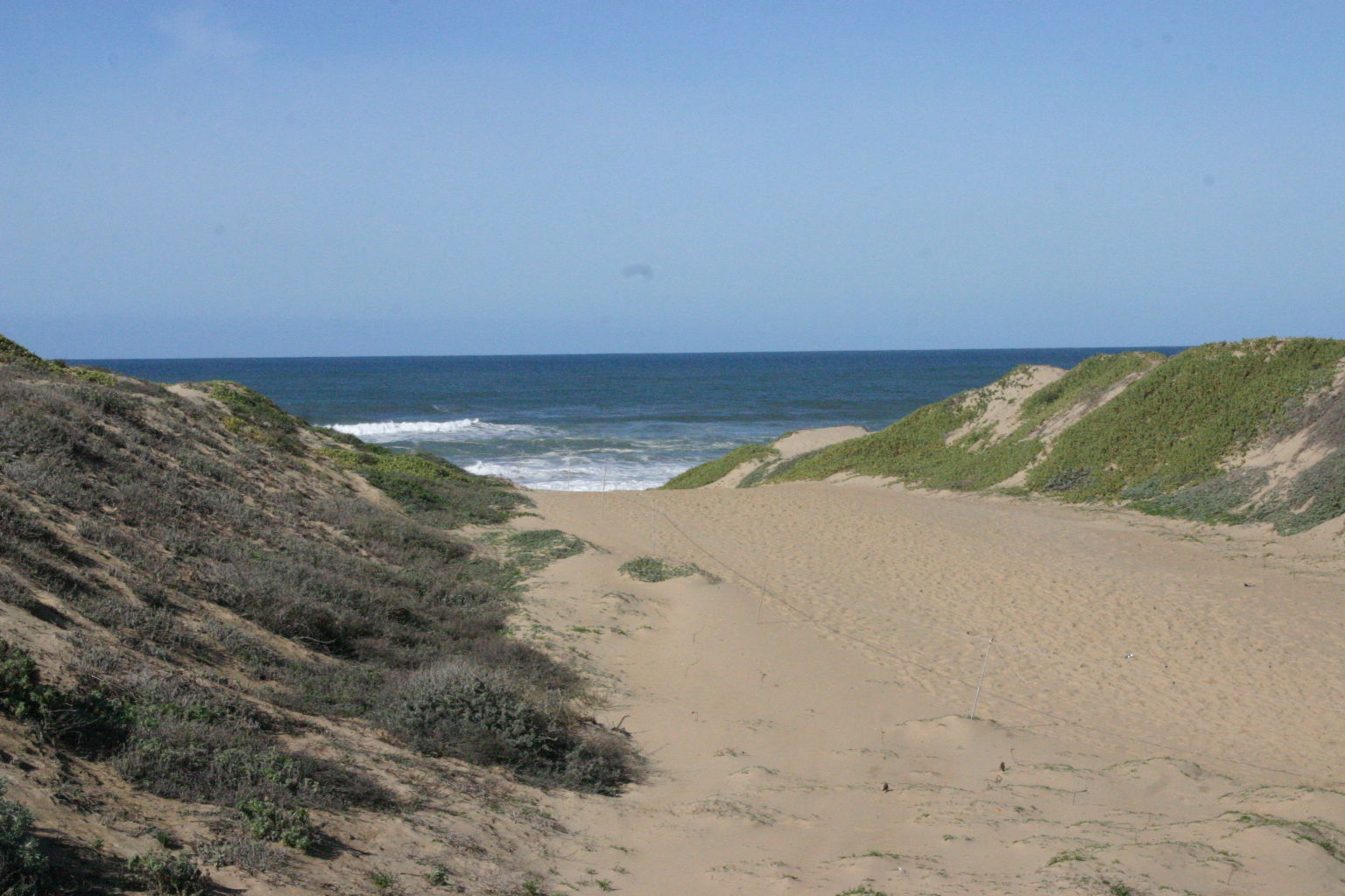 Oso Flaco Boardwalk